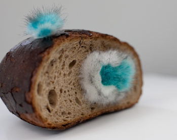 Farbenassoziationen einmal anders