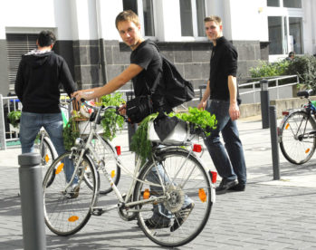 Projekt: Urban Farming geleitet durch Prof. Günter Horntrich