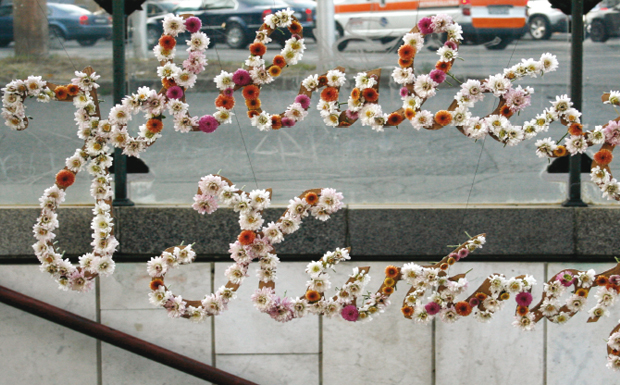 Jobbulast kivanok 02 – Glasscheibe