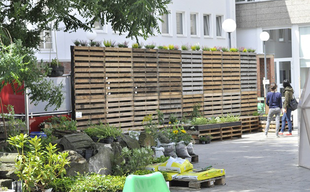 Bepflanzte Wand aus einfachen Holzpaletten