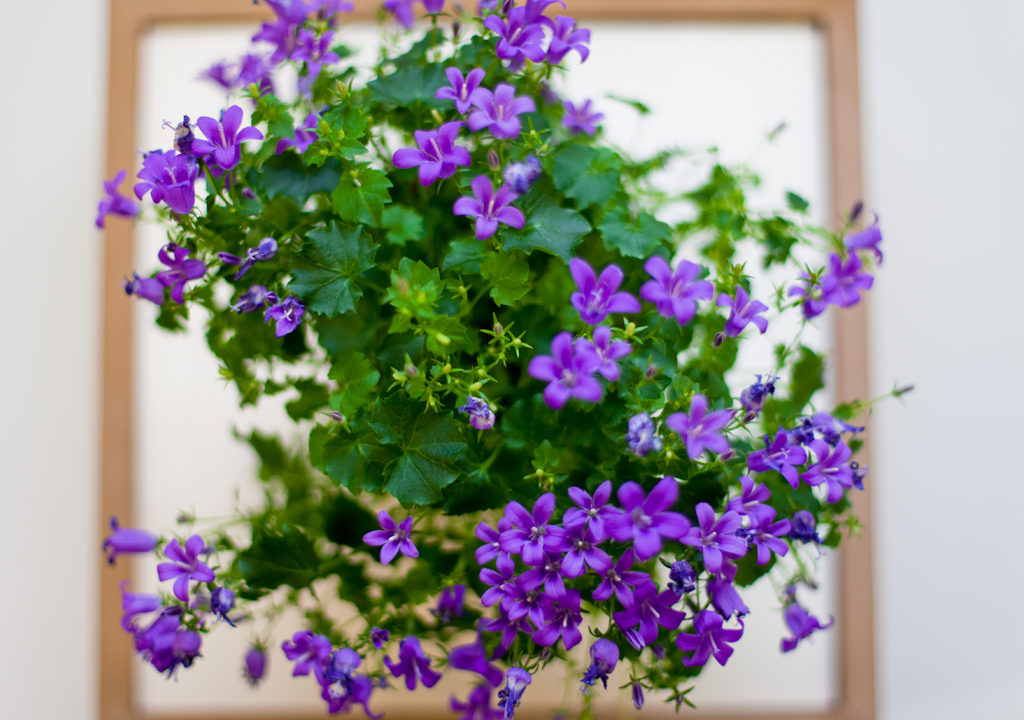 I’m running out of time – a reminder system to a water plant