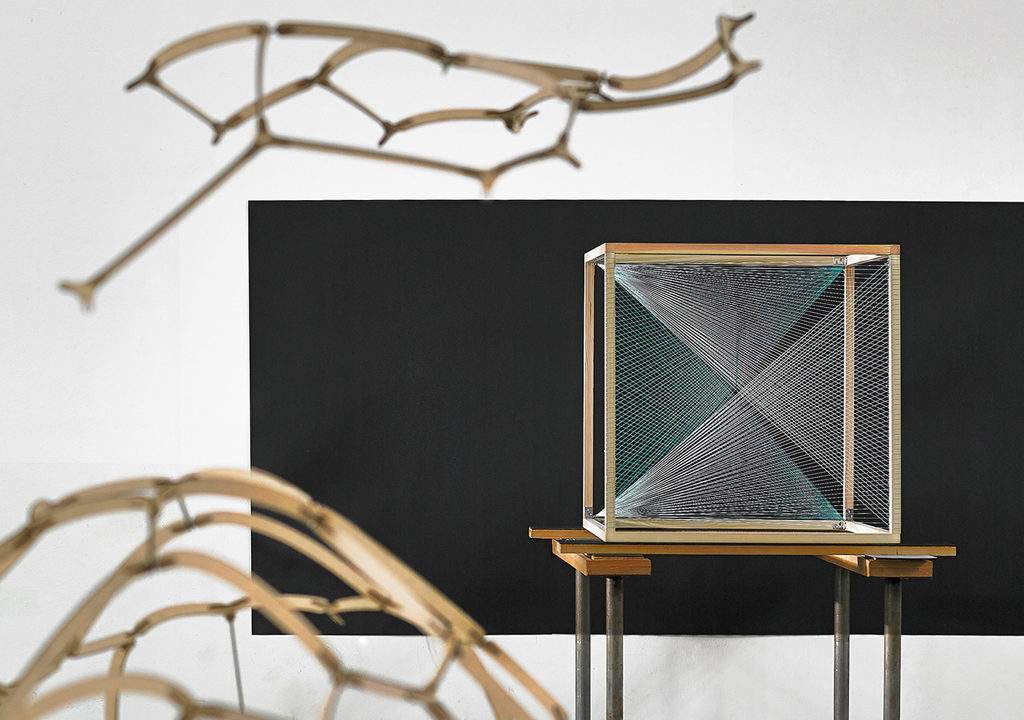 Muster und Wahrnehmung von Enis Akiev, Sascha Haus 