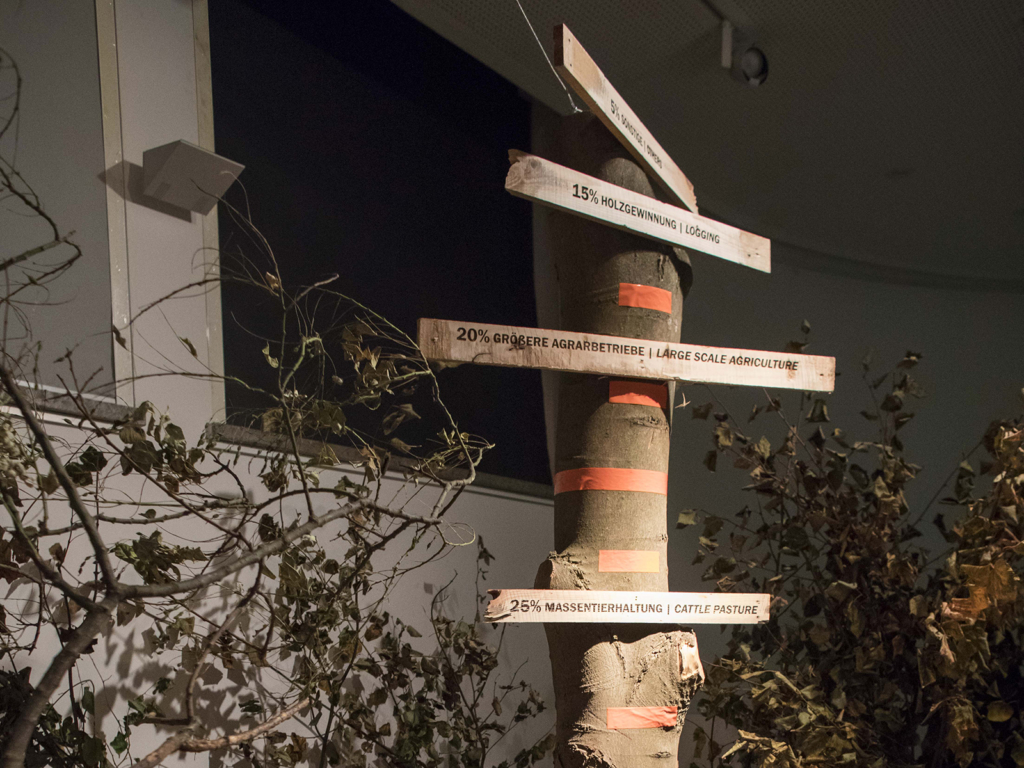 Extent of Deforestation