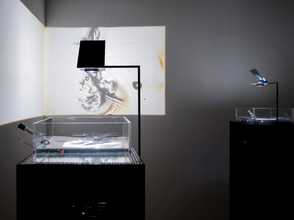 Victor Carlier, Corinna Duschl, Noelle Kalo, Dmitrii Kuznetsov, Andreas Mass, Maja Metzner, Luna Smolka, Hendrik Vohs, Conrad Weise, Translation of Presence, Palazzo Mora, Venedig, 2018. Picture: Dmitrii Kuznetsov