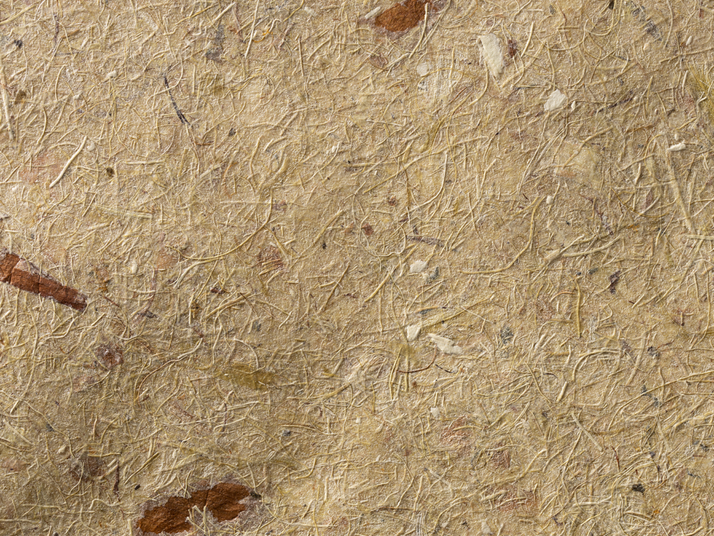 Johanna Poncar – Rhabarbertrester – vom Reststoff zum Werkstoff