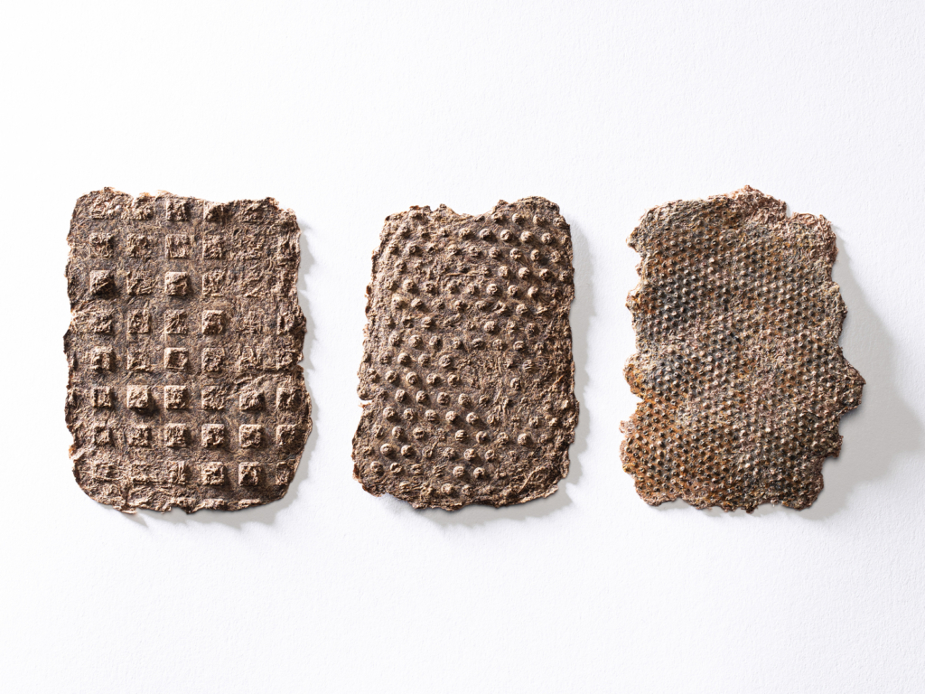 Johanna Poncar – Rhabarbertrester – vom Reststoff zum Werkstoff