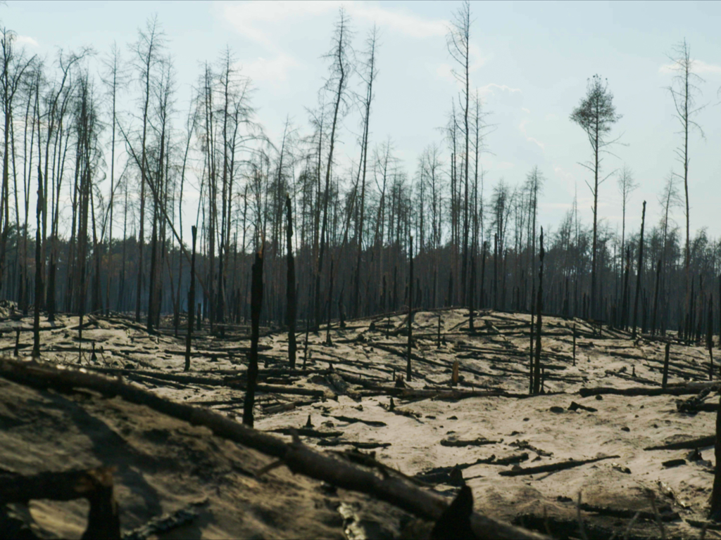 Waldbrandgebiet Lübtheen,©Martin Kaeswurm